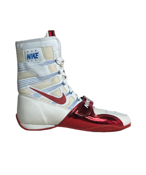 کفش بوکس Nike